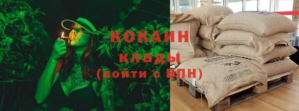 амф Инта