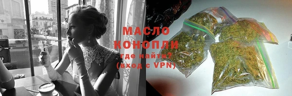 МДПВ Инсар