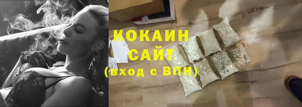 МДПВ Инсар