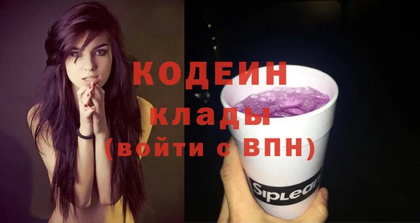 МДПВ Инсар
