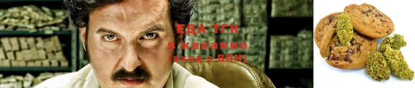 МДПВ Инсар