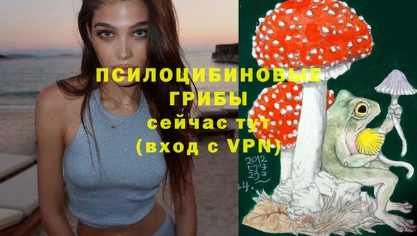 амф Инта