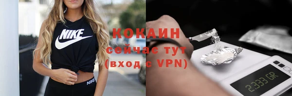 МДПВ Инсар