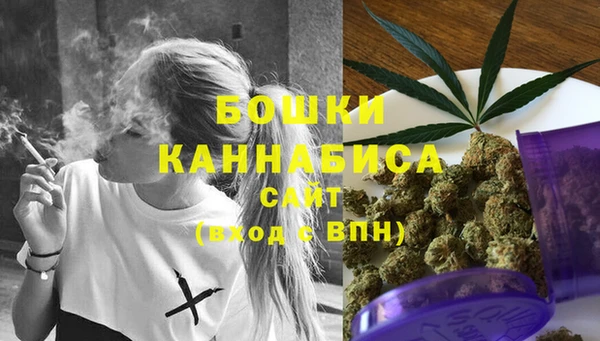 амф Инта