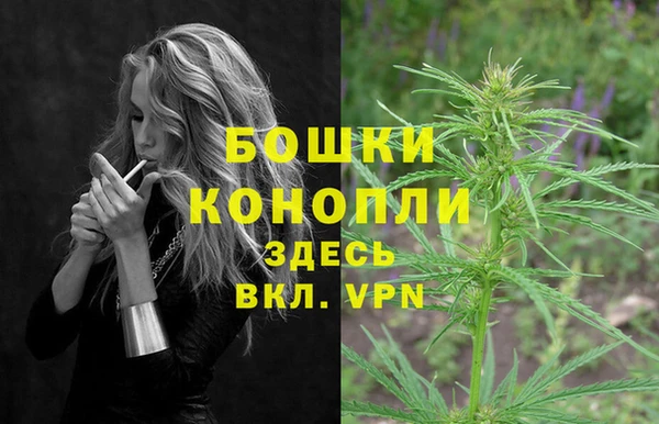 амф Инта