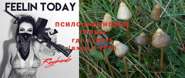 МДПВ Инсар