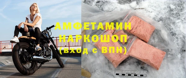 МДПВ Инсар