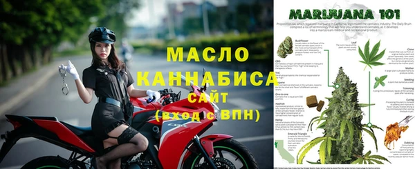амф Инта