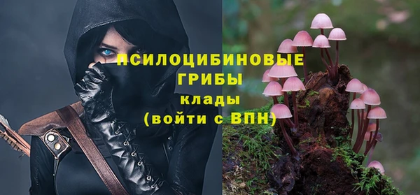 амф Инта