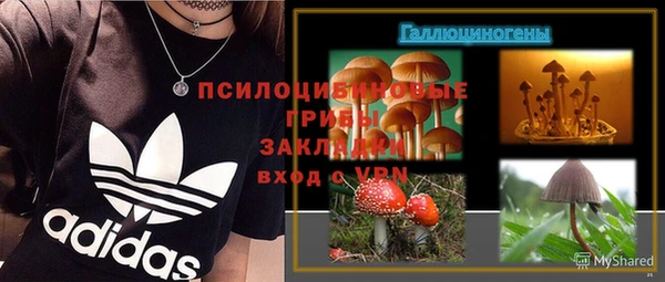 амф Инта