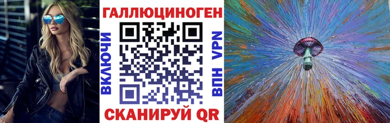Псилоцибиновые грибы Psilocybe  Купить  Железногорск-Илимский 